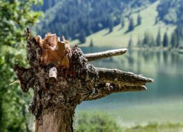 005 - erster blick auf den louenesee